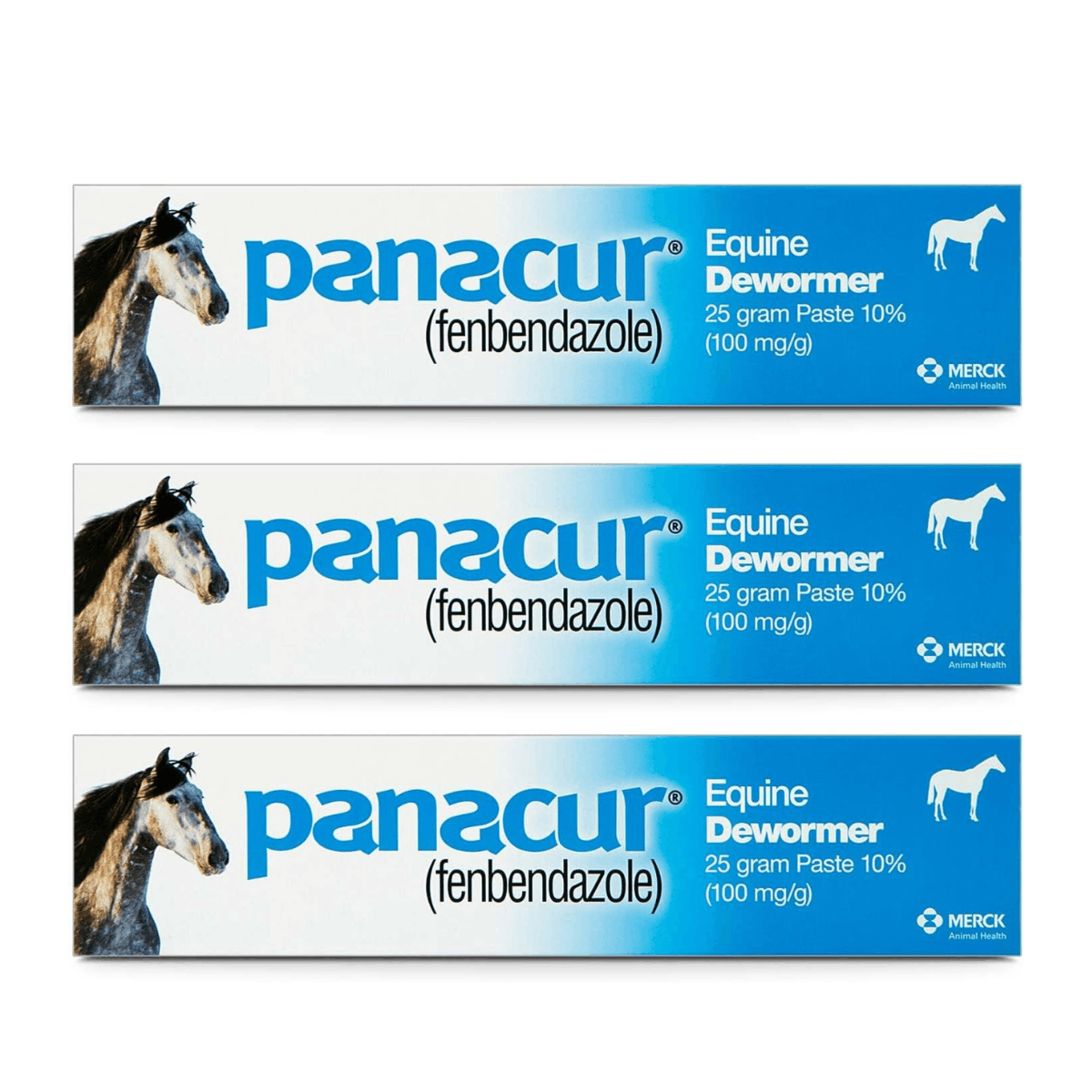 Panacur Equine Dewormer Paste 10% Fenbendazole – 3-Pack | Apple-Cinnamon