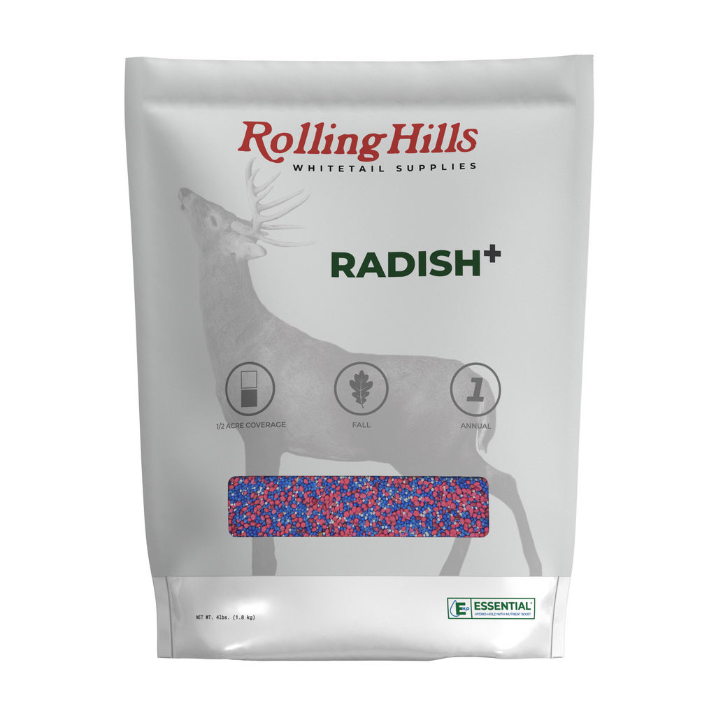 Radish+