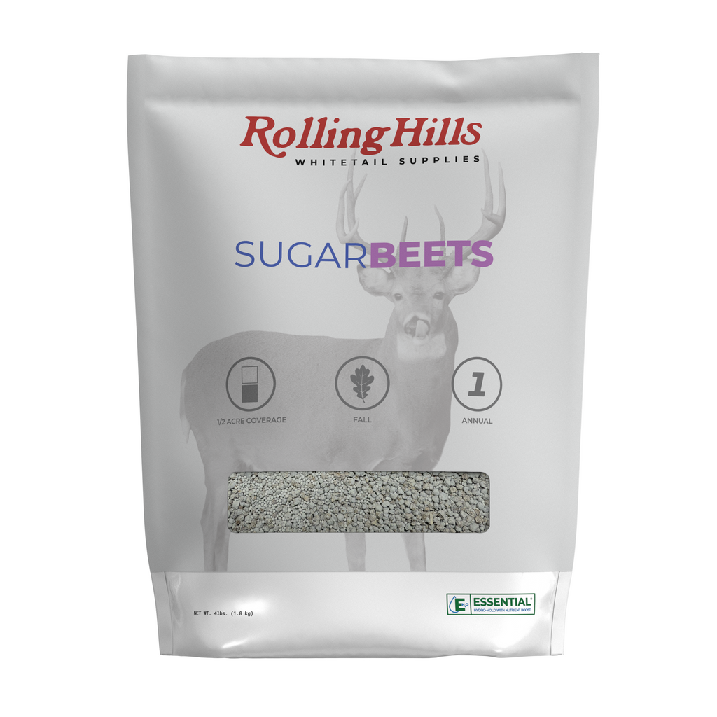 SugarBeets