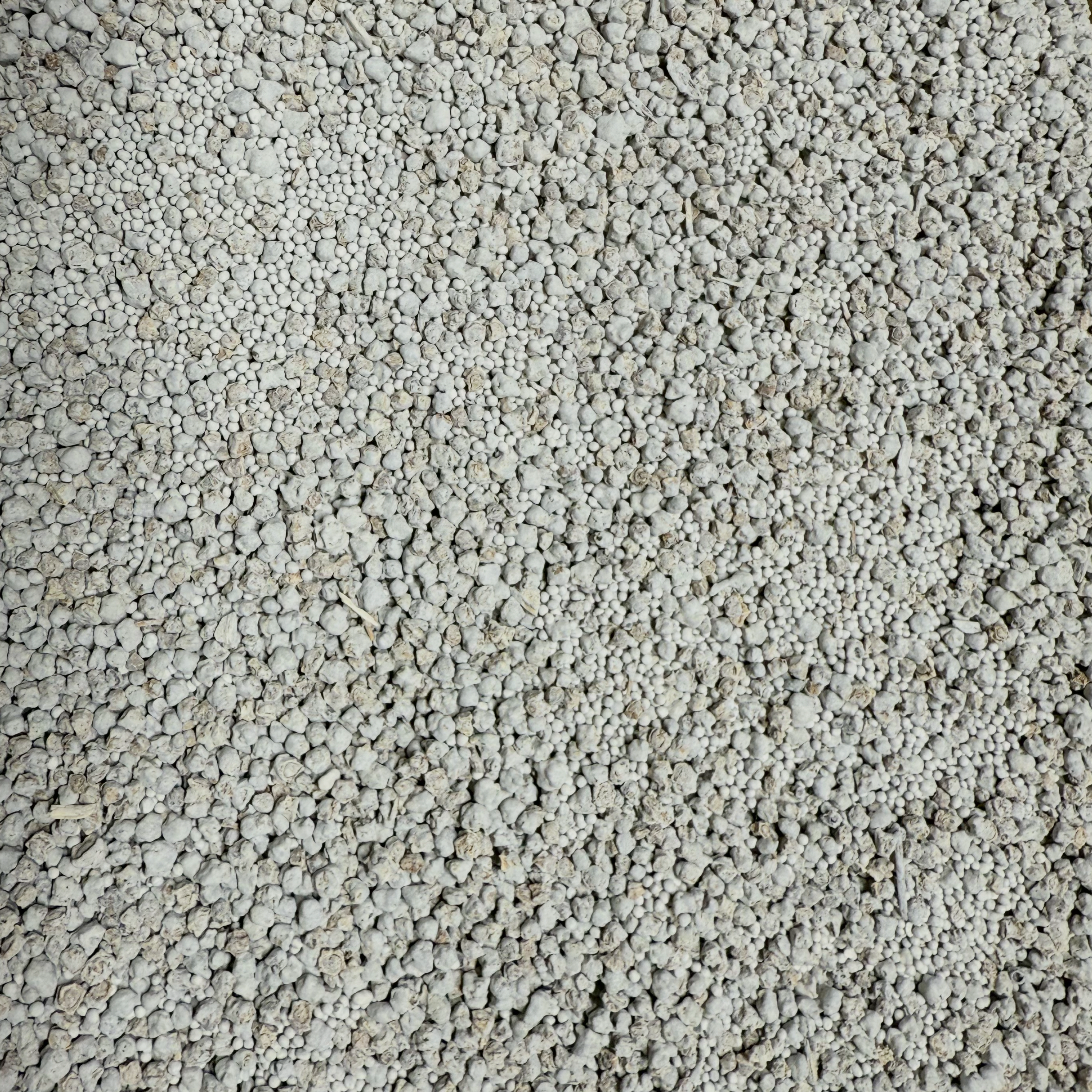 SugarBeets